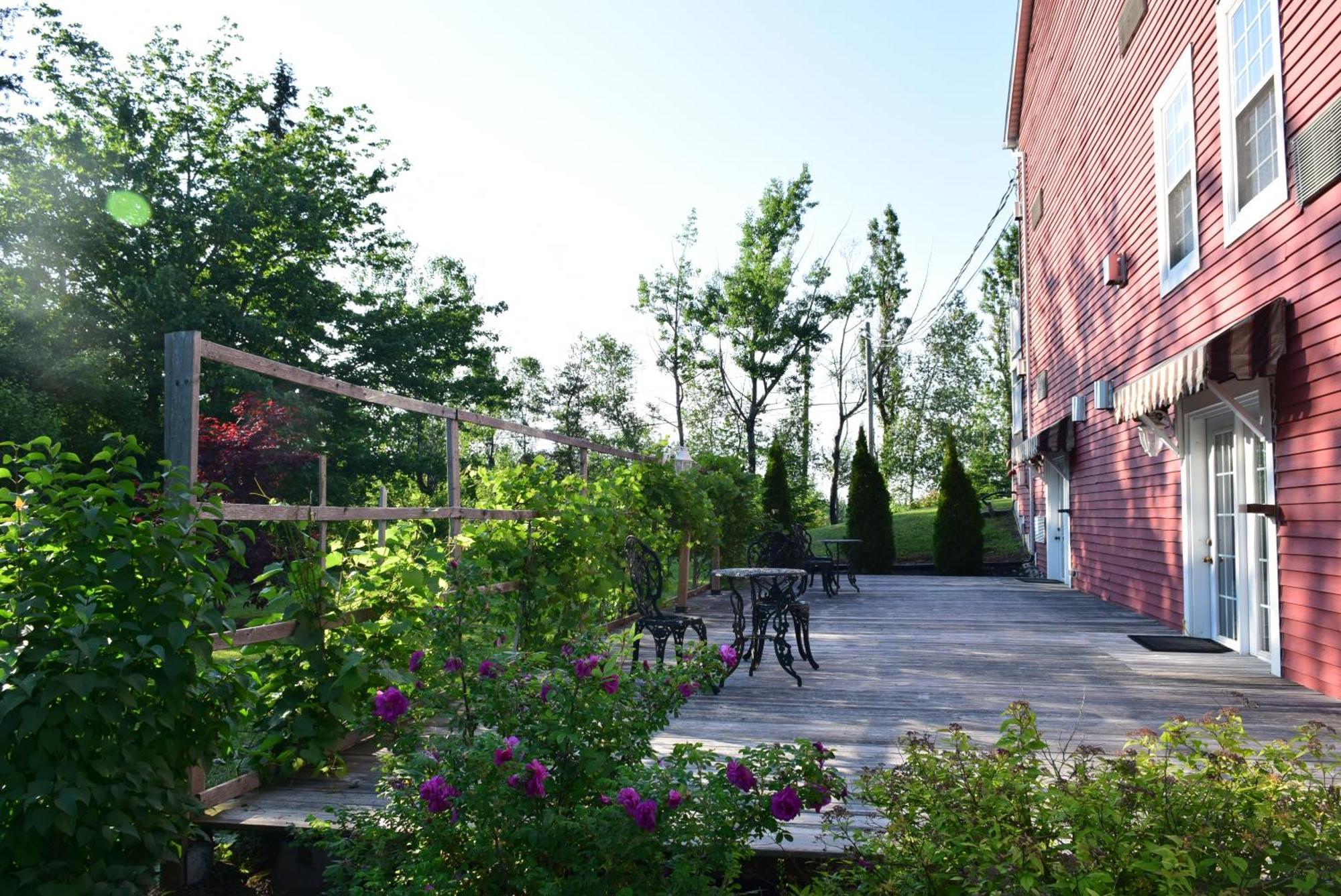 Auberge Wild Rose Inn Moncton Exterior photo