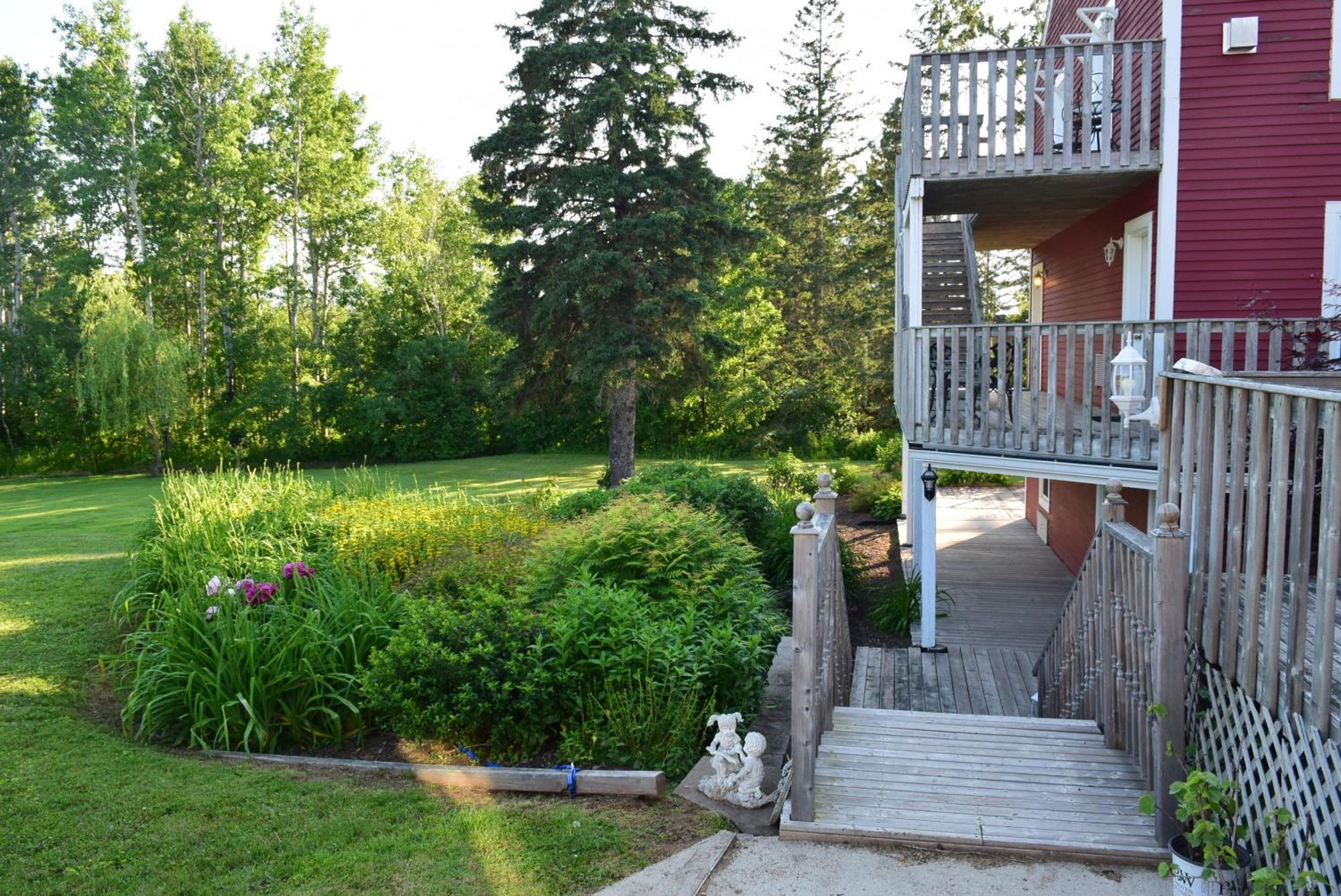Auberge Wild Rose Inn Moncton Exterior photo