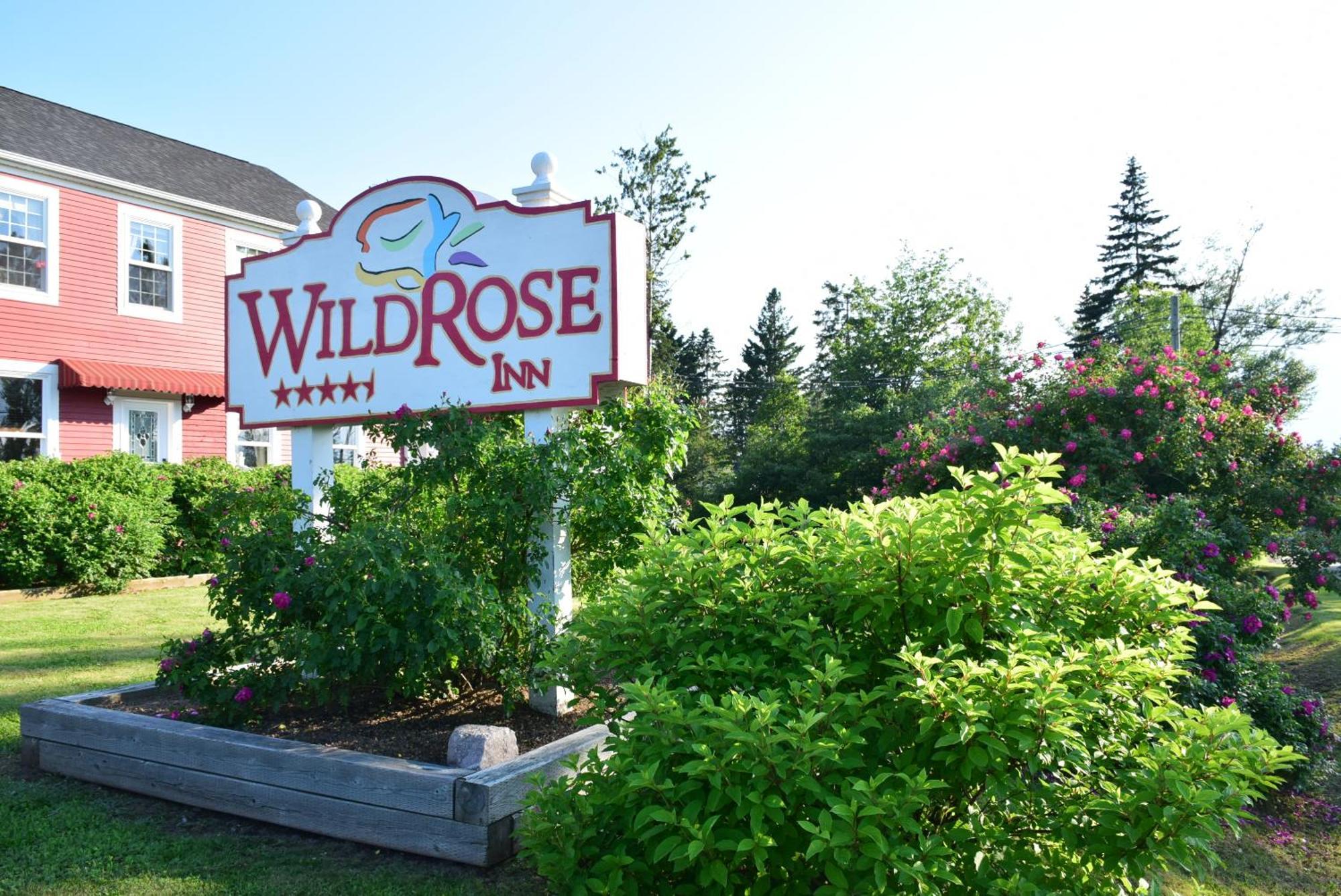 Auberge Wild Rose Inn Moncton Exterior photo