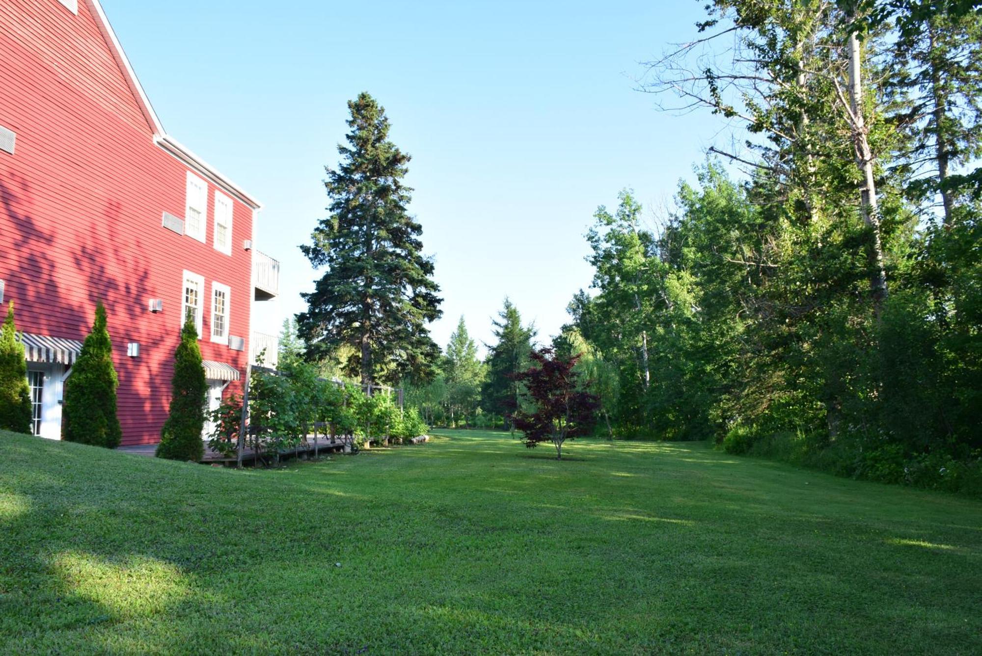 Auberge Wild Rose Inn Moncton Exterior photo